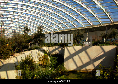 All'interno della grande serra presso il National Botanic Garden of Wales Llanarthne Carmarthenshire UK Foto Stock