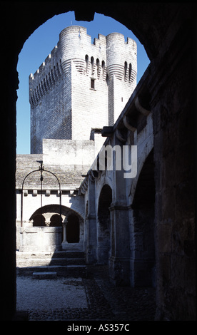 Montmajour bei Arles, Badia, Kreuzgang und Donjon Foto Stock