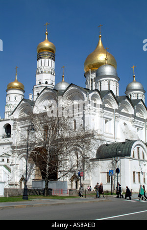Mosca Russia Cupole della Cattedrale dell'Annunciazione situato nel Cremlino Foto Stock