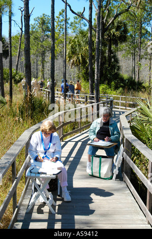 Struttura di cavatappi palude Santuario Napoli Florida FL Foto Stock