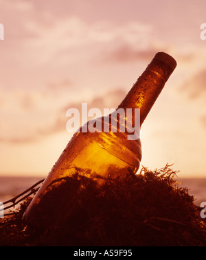 Bottiglia e alghe marine lavato fino in spiaggia Foto Stock