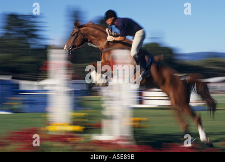 Cavallo e cavaliere maschio recinzione di salto Foto Stock