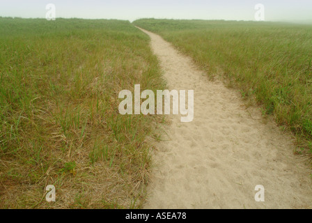 Sentiero sabbioso attraverso l'erba di spiaggia e dune su un nebbioso giorno Foto Stock