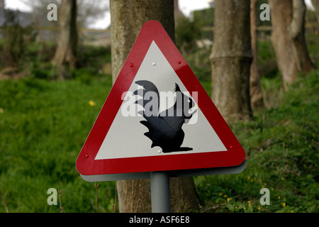 Cartello di avvertimento rosso scoiattoli Foto Stock