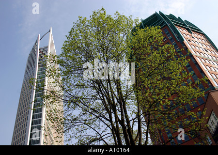 L'Aia Zurichtoren edificio e il grattacielo Hoftoren soprannominato ' de Vulpen' la penna stilografica Holland Olanda Europa Foto Stock