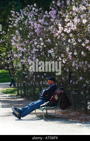 Pubblico nel rilassante Parco Sempione Milano Italia Foto Stock