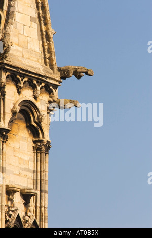 Gargoyle sulla Cattedrale di Lincoln, Lincoln Cathedral, Lincoln, Lincolnshire, Inghilterra. Foto Stock