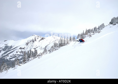 Un uomo gli sci attraverso la polvere profonda mentre lo sci backcountry sopra l'ultimo rifugio del dollaro nelle montagne di San Juan di Colorado Foto Stock