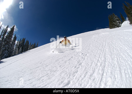 Una donna sciatore esegue il rip attraverso polvere profonda su un ripido pendio in un pomeriggio soleggiato neer telluride colorado Foto Stock