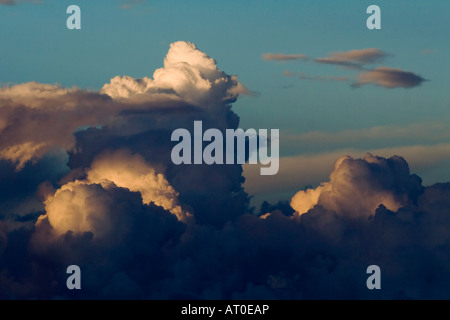 Crescente cumulus nubi su un cielo blu Foto Stock