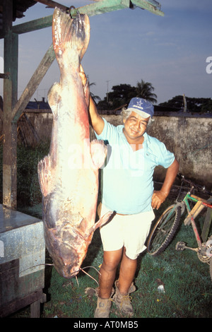 Venditore di pesce mostra off un pesce gatto gigante che è stato catturato nella giungla amazzonica Ecuador America del Sud Foto Stock