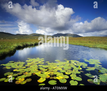 IE - Connemara: Ahalia fiume al Maam Cross vicino a Clifden Foto Stock