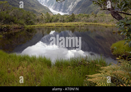 Vista dalla piscina Peters del Ghiacciaio Franz Josef e la foresta pluviale, Westland Tai Poutini National Park, Isola del Sud, Nuova Zelanda Foto Stock