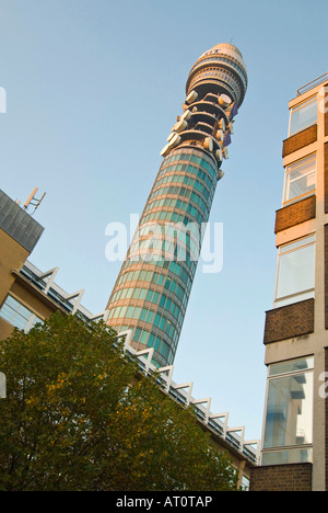 Verticale angolare ampio angolo del BT Tower e circondano edifici per uffici su un luminoso della sera. Foto Stock