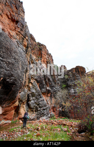 BACKPACKER trekking lungo il torrente IN REMOTE CLEAR Creek Canyon nel profondo del GRAND CANYON NEL PARCO NAZIONALE DEL GRAND CANYON ARIZONA U Foto Stock