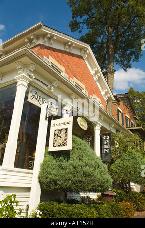 ILLINOIS Saint Charles segno per Artemisia negozio boutique nel centro storico cittadino casa di mattoni per retail store Foto Stock