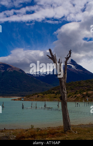 Vicino a Perito Morento Glacier, Patagonia, Argentina Foto Stock