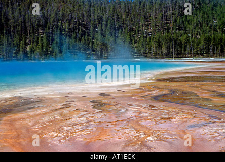 Grand Prismatic Spring, il Parco Nazionale di Yellowstone Foto Stock