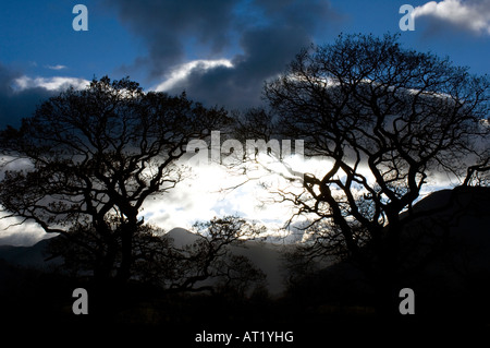 Una vista generale del distretto del lago nella foto vicino a Windermere in Cumbria Qui potete vedere una notte di tempesta del cielo. Foto Stock