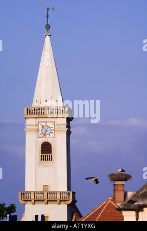 Cicogna bianca Ciconia ciconia adulti sul nido dalla chiesa nella città di ruggine ruggine Parco Nazionale del lago di Neusiedl Burgenland Austria Aprile 2007 Foto Stock