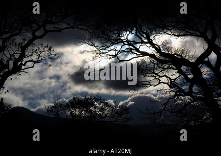 Una vista generale del distretto del lago nella foto vicino a Windermere in Cumbria Qui potete vedere una notte di tempesta del cielo. Foto Stock