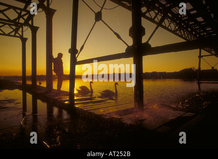 DISOCCUPAZIONE DEPRESSIONE giovanissimo sta da solo nella silhouette di un vecchio ponte d'acciaio che perde nel profondo del pensiero al tramonto, osservando due cigni che passano Foto Stock