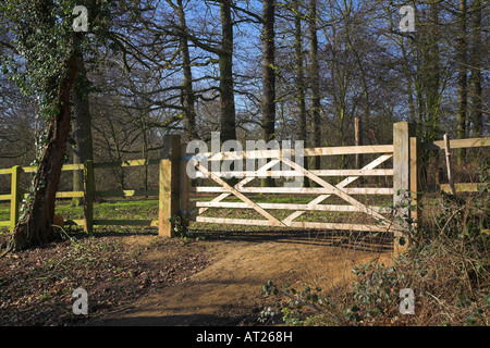 Il cancello chiuso che conduce in una foresta. Foto Stock