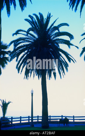 Un uomo su una panchina nel parco guardando ocean Santa Monica California Foto Stock