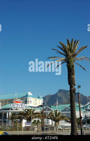 Vista del Victoria and Alfred Waterfront Città del Capo Sud Africa Foto Stock