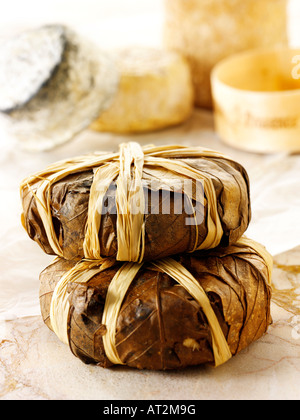 Francese morbido Bannon formaggio di capra dalla Provenza in foglie in un negozio di formaggi impostazione. Foto Stock