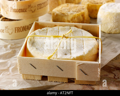 St Aubin morbidi formaggi francesi in un negozio di formaggi impostazione Foto Stock