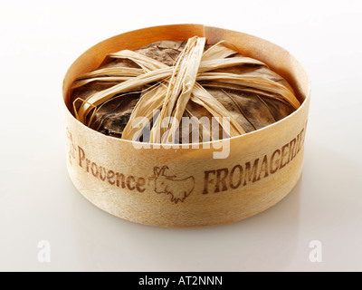 Francese morbido Bannon formaggio di capra in foglie su uno sfondo bianco. Provenza Foto Stock