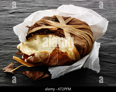 Francese morbido Bannon formaggio di capra in foglie su uno sfondo nero. Provenza Foto Stock