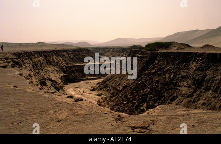 Anomalia linea, pianura costiera, Perù Foto Stock