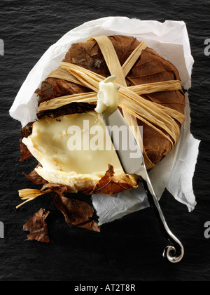 Francese morbido Bannon formaggio di capra in foglie su uno sfondo nero. Provenza Foto Stock