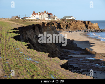 In cima alla scogliera vista delle colture in campo e i recenti cliff erosione,con proprietà minacciate dietro.happisburgh , norfolk England Regno Unito Foto Stock