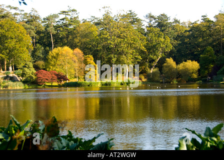 Irlanda del Nord il monte Stewart House e Gardens Regno Unito Foto Stock