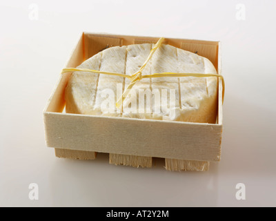 St Aubin soft formaggio francese su sfondo bianco Foto Stock