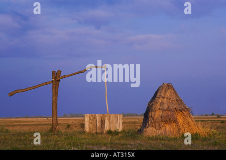 Disegnare bene e reed cottage nella puszta Parco Nazionale del lago di Neusiedl Burgenland Austria Aprile 2007 Foto Stock