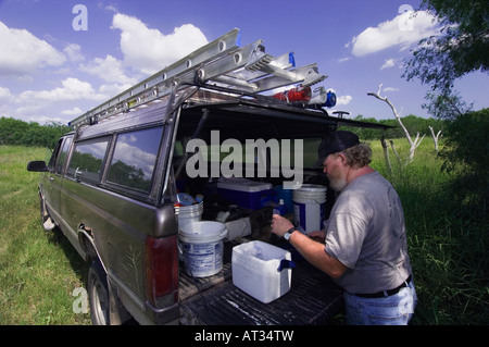 Biologo della fauna selvatica di bande e condurre la ricerca su gufo pigmeo utilizzando auto come laboratorio portatili Rio Grande Valley Texas Foto Stock