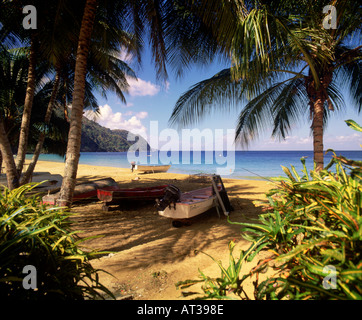 Spiaggia Tropicale scena Tobago Foto Stock