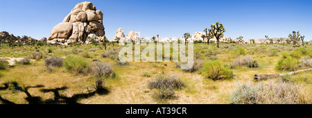 Panorama del Parco nazionale di Joshua Tree negli Stati Uniti Foto Stock