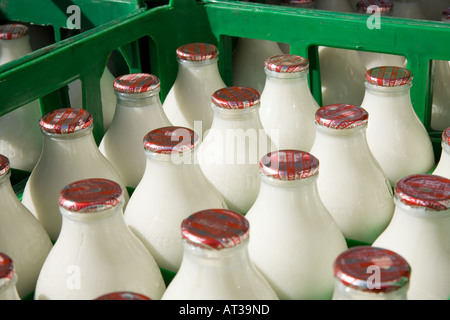 Cassa verde del latte scremato bottiglie Foto Stock
