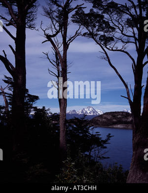 Bahia Lapataia con una vista delle montagne in lontananza e stagliano alberi Tierra del Fuego Parco Nazionale Argentina Foto Stock