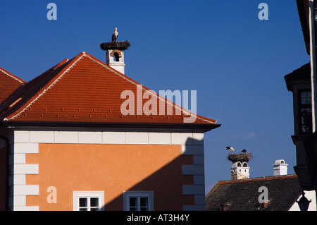 Cicogna bianca Ciconia ciconia adulti sul nido sui tetti della città di ruggine ruggine Parco Nazionale del lago di Neusiedl Burgenland Austria Aprile 2007 Foto Stock