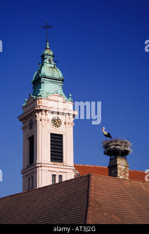 Cicogna bianca Ciconia ciconia adulto su nest dalla chiesa nella città di ruggine ruggine Parco Nazionale del lago di Neusiedl Burgenland Austria Aprile 2007 Foto Stock