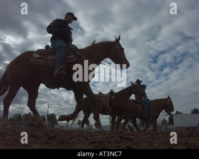 A Tucson Rodeo riders arrivare preparati per il concorso di riscaldare i loro cavalli Foto Stock