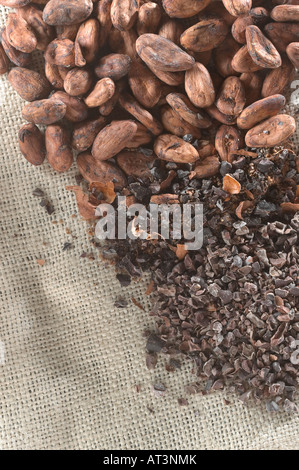 Le fave di cacao in varie fasi di lavorazione Foto Stock