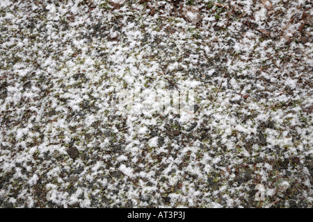 Grumi di grossi fiocchi di neve soffice che coprono parzialmente verde prato Foto Stock