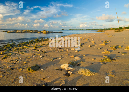 SAMOA manase savaii tipico sulla spiaggia tramonto tramonto cielo della sera oro giallo arancione rosso acqua mare nuvole di sabbia sun Foto Stock